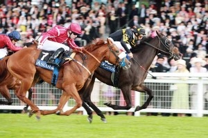0717-strikethetiger1 Strike The Tiger, with John Velazquez aboard, wins The Windsor Castle Stakes during the Royal Ascot meeting on June 16 in Ascot, England. (Horsephotos.com)