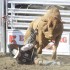 Ellensburg Rodeo finals