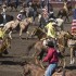 Ellensburg Rodeo finals
