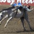 Ellensburg Rodeo finals