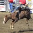 Ellensburg Rodeo finals