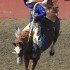 Ellensburg Rodeo finals
