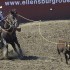 Ellensburg Rodeo finals