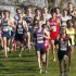 cross country state
